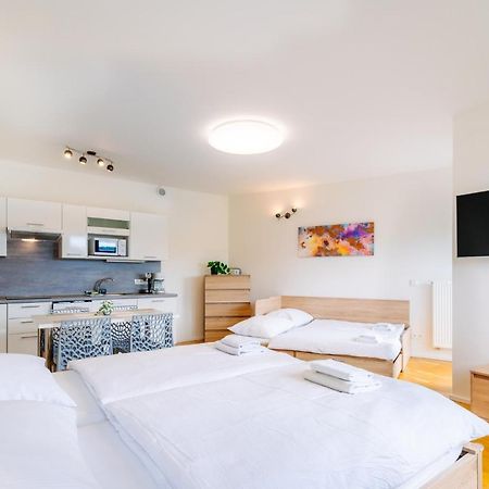 Horsky Apartman Temari 12 Klinovec Loučná pod Klínovcem Eksteriør billede